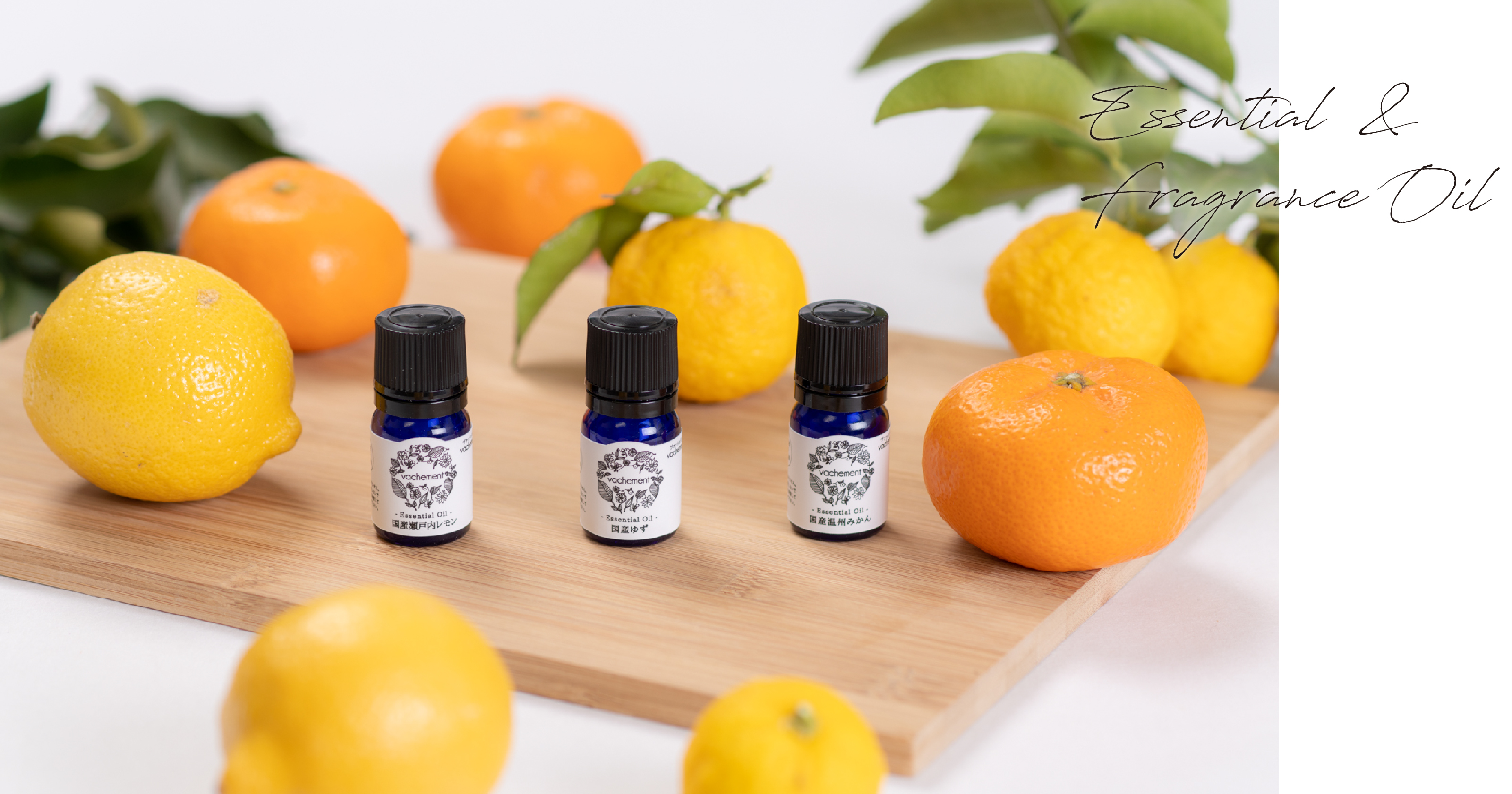Essential & Fragrance Oil